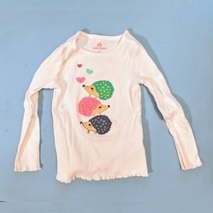 Long sleeve, 2T, Hedgehog shirt